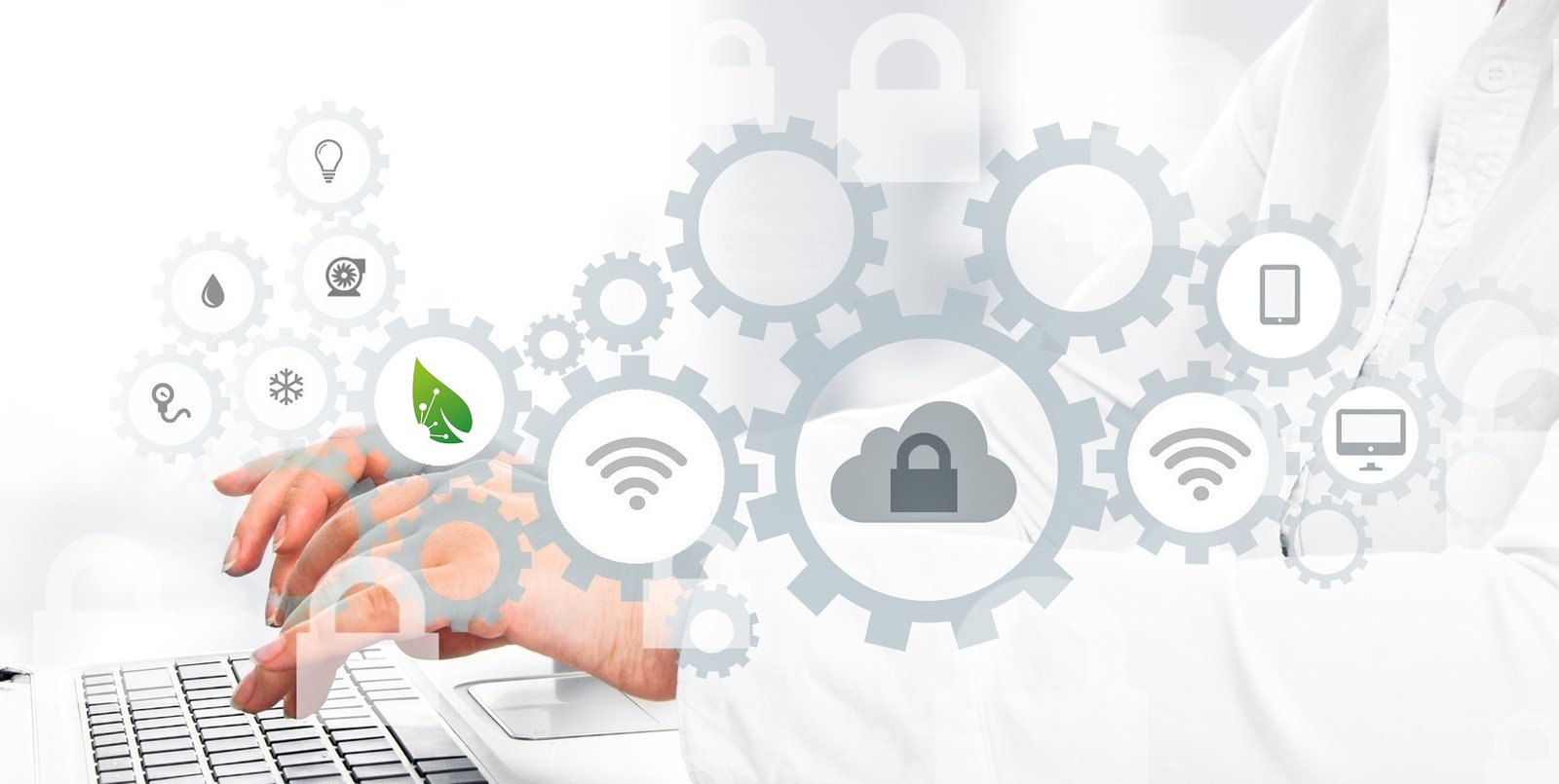 BotaniMatik Cloud Server