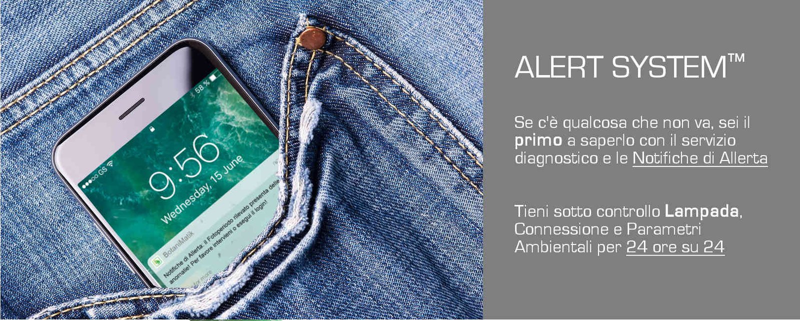 Notifiche di allerta