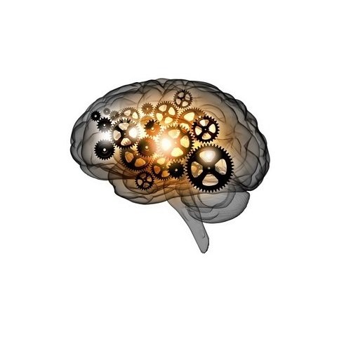 Logica di coltivazione Sesto Senso